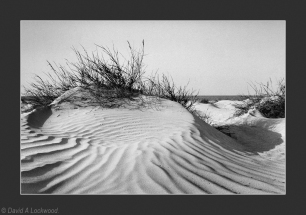 Sand & grass Barr Al Hikman