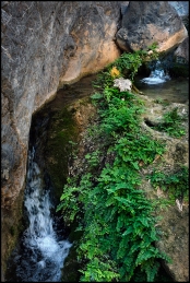 Wadi Qurai. 10